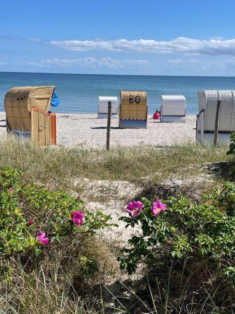 Fewo-Mit-Terasse-U-Garten-Am-Golfplatz Wulfen auf Fehmarn Екстериор снимка